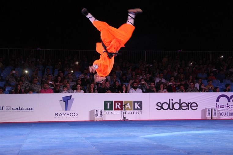 Martial Arts Festival